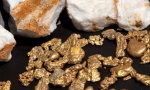 South African Gold Mines